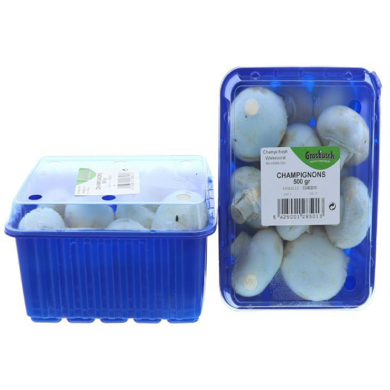CHAMPIGNON BLANC GROSBUSCH 4X500G